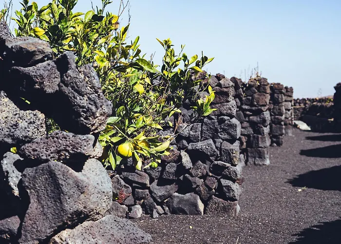 Casa Origen Dom wakacyjny *